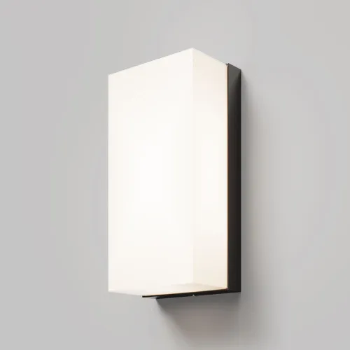 Настенный светильник (бра) Outdoor O454WL-L10GF3K  фото 4