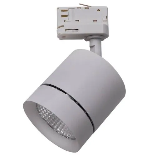 Трековый светодиодный светильник Lightstar Canno Led 301594 