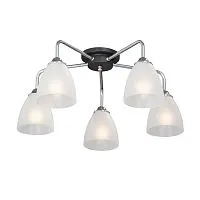 Потолочная люстра Vitaluce V4500-9/5PL 