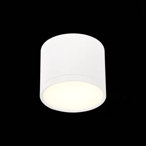 Потолочный светодиодный светильник ST Luce Rene ST113.532.09  фото 2