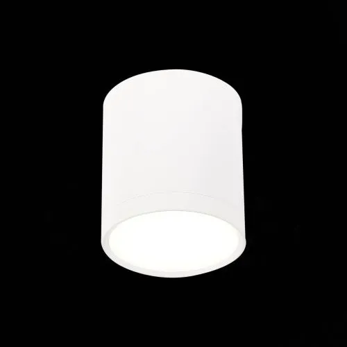 Потолочный светодиодный светильник ST Luce Rene ST113.542.05  фото 2