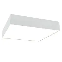 Потолочный светодиодный светильник Maytoni Technical Zon C067CL-L40W4K 